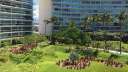 Green areas of Peninsula Nuevo Vallarta complex