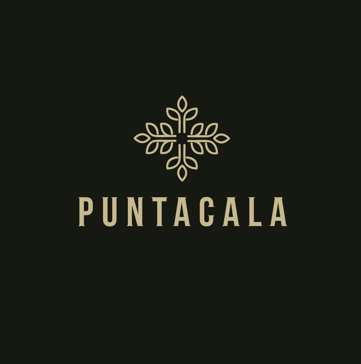Logo Punta Cala